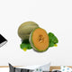 Cantaloupe Wall Decal