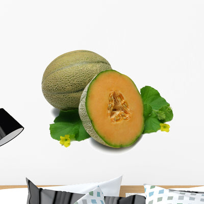 Cantaloupe Wall Decal shown on a wall