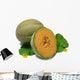 Cantaloupe Wall Decal