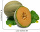 Cantaloupe Wall Decal