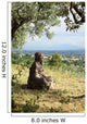 Assisi (IT) - Statue of St. Francis Wall Mural