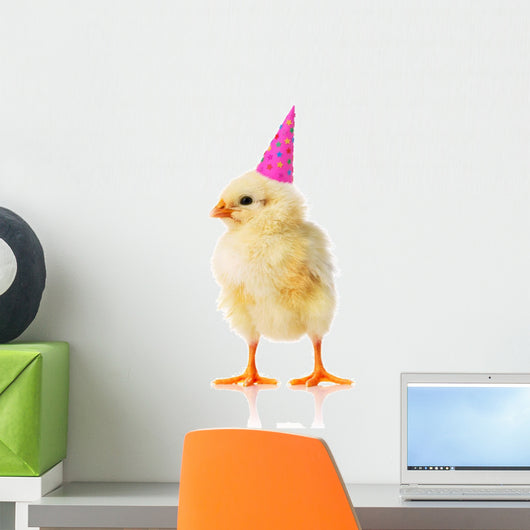 Yellow Chicken With a Birthday Hat on Wall Decal