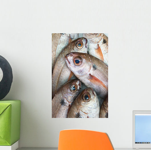 Fresh Caught Fish Wall Mural