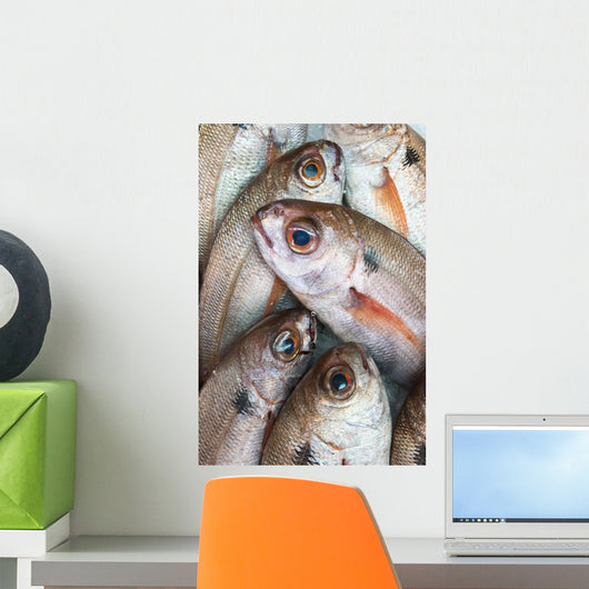 Fresh Caught Fish Wall Mural