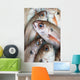 Fresh Caught Fish Wall Mural