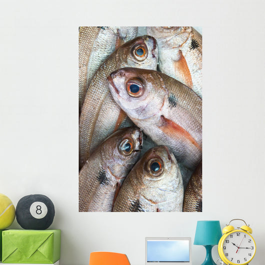 Fresh Caught Fish Wall Mural