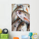 Fresh Caught Fish Wall Mural