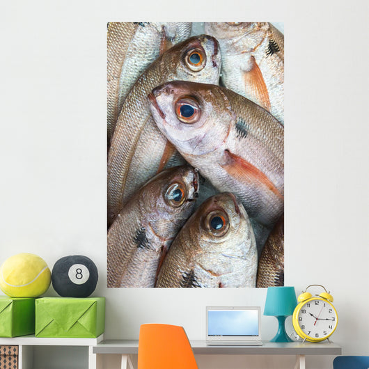 Fresh Caught Fish Wall Mural