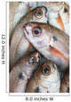 Fresh Caught Fish Wall Mural
