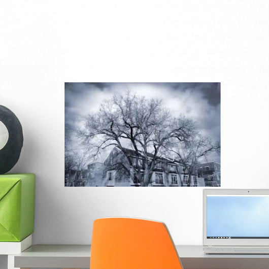 Dramatic Trees Wall Decal