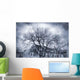 Dramatic Trees Wall Decal
