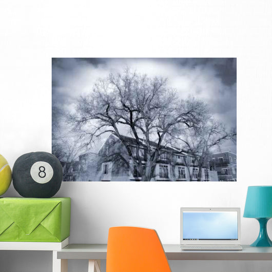 Dramatic Trees Wall Decal