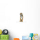 Tiger Its Front Paws Wall Decal