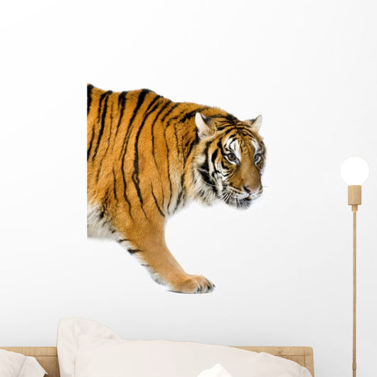 Standing Tiger Wall Decal