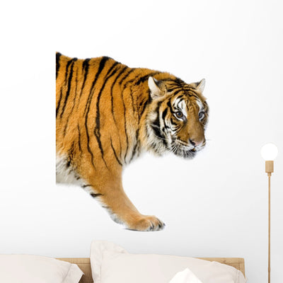 Standing Tiger Wall Decal shown on a wall