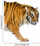 Standing Tiger Wall Decal