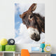 Donkey's head against a blue sky with cloud Wall Mural