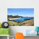 Coromandel Wall Decal
