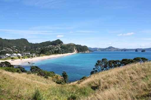 Coromandel Wall Decal