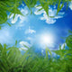 Grass and Blue Sky Wall Decal