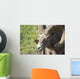 Close Up Of A Bighorn Sheep Wall Mural