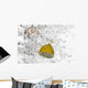 Close-up Fruit Floating Bubbly Wall Decal