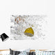 Close-up Fruit Floating Bubbly Wall Decal