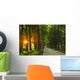 sunrise in beautiful alley Wall Mural