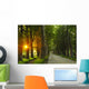 sunrise in beautiful alley Wall Mural