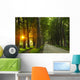 sunrise in beautiful alley Wall Mural