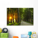 sunrise in beautiful alley Wall Mural