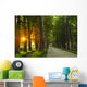 sunrise in beautiful alley Wall Mural