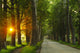 sunrise in beautiful alley Wall Mural