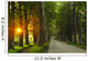 sunrise in beautiful alley Wall Mural