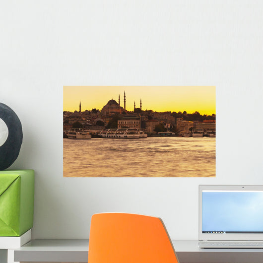 View of Istanbul at sunset Wall Mural