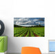 Rows Of Crops In A Potato Field Wall Mural