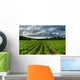 Rows Of Crops In A Potato Field Wall Mural