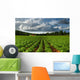 Rows Of Crops In A Potato Field Wall Mural