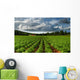 Rows Of Crops In A Potato Field Wall Mural