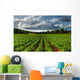 Rows Of Crops In A Potato Field Wall Mural