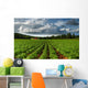 Rows Of Crops In A Potato Field Wall Mural