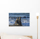 Northern Elephant Seal On The Central California Coast Wall Mural