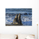 Northern Elephant Seal On The Central California Coast Wall Mural