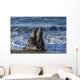 Northern Elephant Seal On The Central California Coast Wall Mural