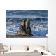 Northern Elephant Seal On The Central California Coast Wall Mural