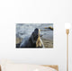 Northern Elephant Seal On The Central California Coast Wall Mural