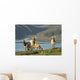 Tule Elk In Point Reyes National Seashore Wall Mural
