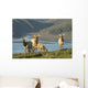 Tule Elk In Point Reyes National Seashore Wall Mural
