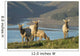 Tule Elk In Point Reyes National Seashore Wall Mural