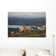 Tule Elk In Point Reyes National Seashore Wall Mural